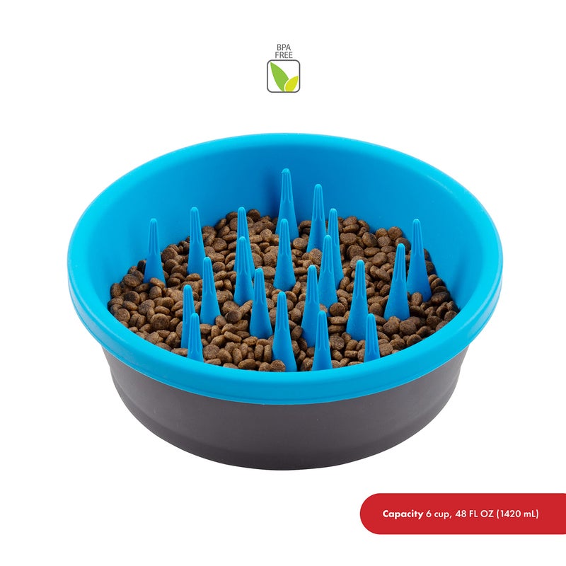 Dexas Slow Feeder Dog Bowl for Healthier Digestion, Teeth and Gums, 6 Cup Capacity, Gray and Blue - Image 5